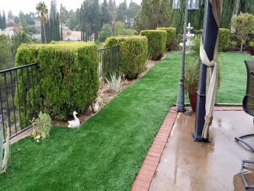 Artificial Grass Photos: Fake Grass South San Gabriel California Lawn  Yard