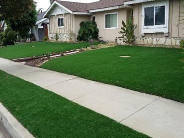Artificial Grass Photos: Synthetic Grass Culver City California  Landscape  Front