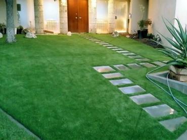 Artificial Grass Photos: Artificial Grass West Athens California  Landscape  Pavers