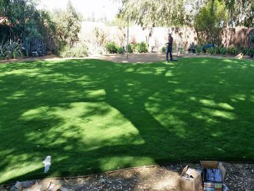 Artificial Grass Photos: Artificial Turf Burbank California  Landscape  Backyard