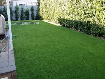 Artificial Grass Photos: Synthetic Pet Grass Bell Gardens California Installation