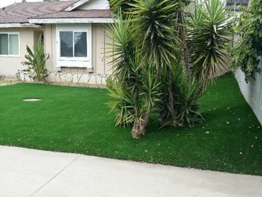 Artificial Grass Photos: Fake Turf Rosemead California Lawn  Front Yard