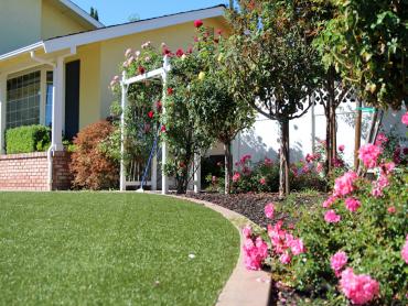 Artificial Grass Photos: Synthetic Grass Lennox California  Landscape  Front Yard