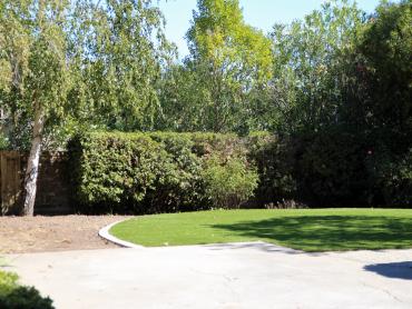 Artificial Grass Photos: Artificial Grass East Rancho Dominguez California Lawn  Yard