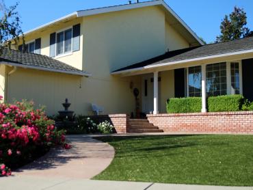 Artificial Grass Photos: Artificial Grass West Rancho Dominguez California  Landscape