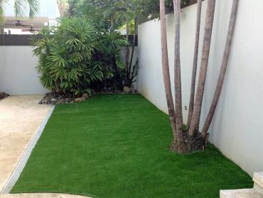 Artificial Grass Photos: Fake Turf South El Monte California Lawn  Yard