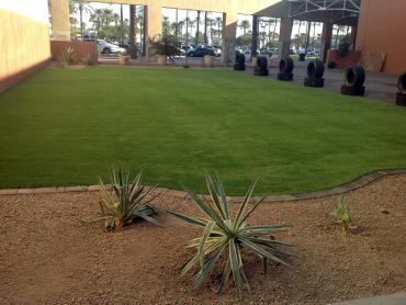 Artificial Grass Photos: Synthetic Grass West Whittier-Los Nietos California  Landscape