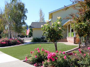 Artificial Grass Photos: Fake Grass Altadena California  Landscape  Front Yard