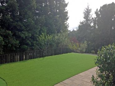 Artificial Grass Photos: Fake Turf Paramount California  Landscape  Yard