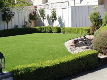 Artificial Grass Photos: Synthetic Turf Alondra Park California  Landscape  Yard Front