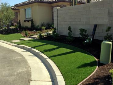 Artificial Grass Photos: Synthetic Turf Marina del Rey California  Landscape  Front