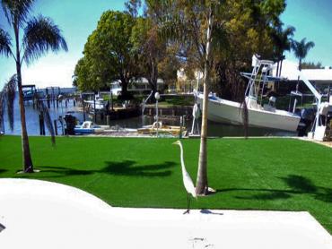 Artificial Grass Photos: Synthetic Pet Grass Universal City California Landscape, Lawns