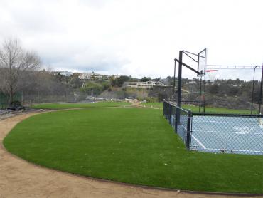 Artificial Grass Photos: Artificial Pet Turf San Marino California Landscape, Lawns