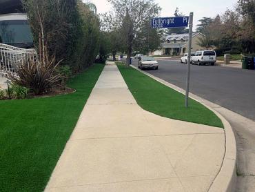 Artificial Grass Photos: Artificial Pet Grass Willowbrook California Back and Front Yard