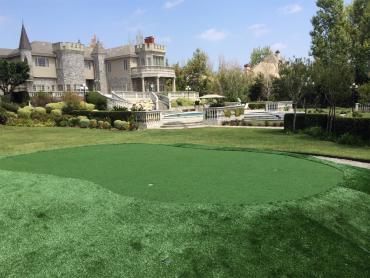 Synthetic Pet Grass Rosemead California Lawns artificial grass