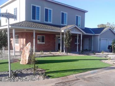 Artificial Grass Photos: Artificial Pet Grass Westwood California Lawns