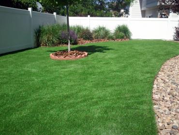 Artificial Grass Photos: Fake Pet Grass East Pasadena California Back and Front Yard