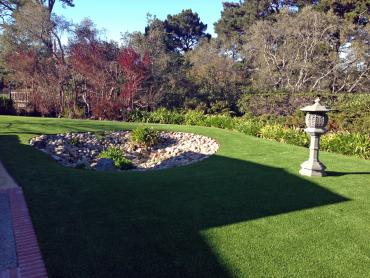 Artificial Grass Photos: Artificial Pet Grass Compton California Landscape, Lawns