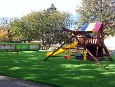 Artificial Grass Photos: Synthetic Pet Turf West Rancho Dominguez California Landscape