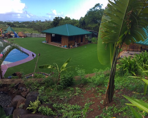 Artificial Grass Photos: Artificial Grass Carpet El Cajon, California Backyard Deck Ideas, Pool Designs