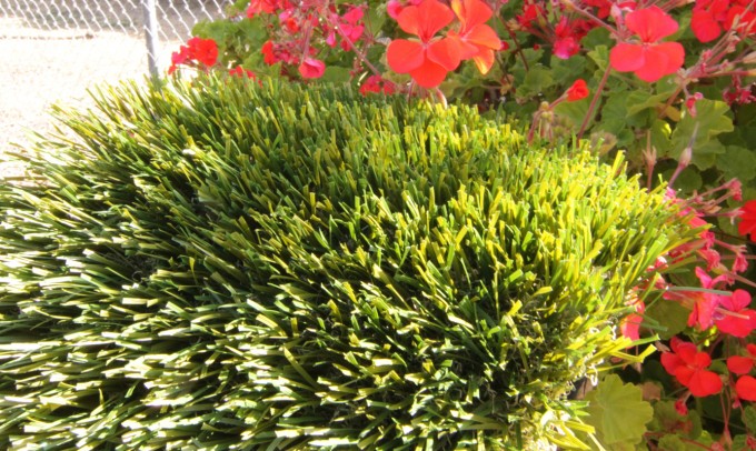 Double S-72 syntheticgrass Artificial Grass Los Angeles