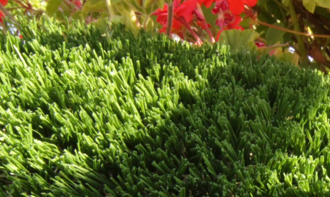 Hollow Blade-73 syntheticgrass Artificial Grass Los Angeles