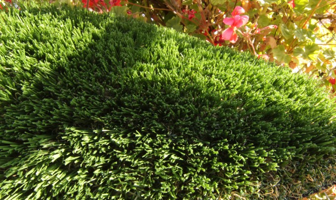 Hollow Blade-73 syntheticgrass Artificial Grass Los Angeles