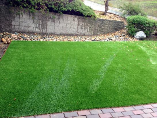 Artificial Grass Photos: Synthetic Pet Grass Burbank California Installation  Backyard