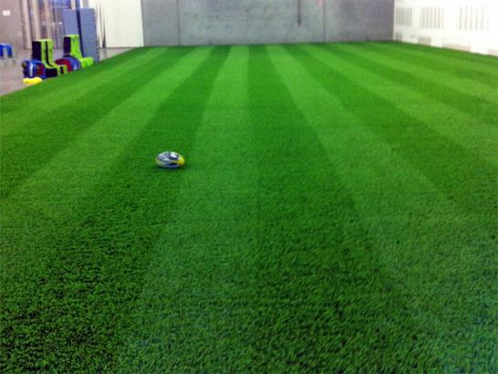 Artificial Grass Photos: Artificial Grass Stadium Glendale California