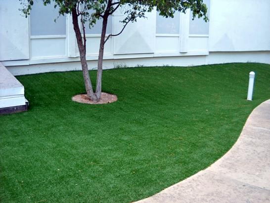 Artificial Grass Photos: Artificial Turf Buena Park California Lawn  Landscape Commercial