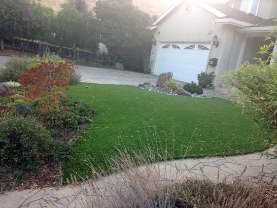 Artificial Grass Photos: Synthetic Grass Garden Grove California  Landscape  Front