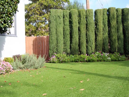 Artificial Grass Photos: Fake Turf Glen Avon California Lawn  Front Yard