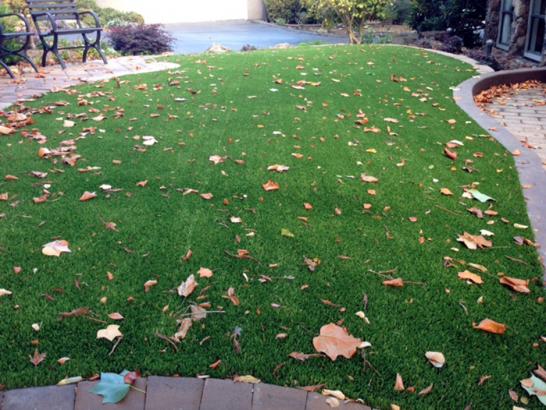 Artificial Grass Photos: Artificial Grass Midway City California Lawn  Front Yard