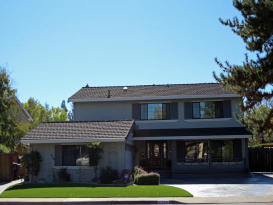 Artificial Grass Photos: Fake Turf Montclair California  Landscape  Front Yard