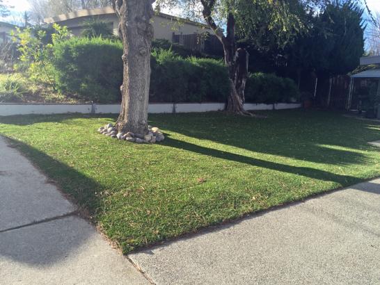Artificial Grass Photos: Synthetic Turf Saticoy California  Landscape  Front Yard