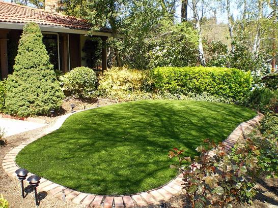 Artificial Grass Photos: Synthetic Turf Laguna Hills California  Landscape  Yard