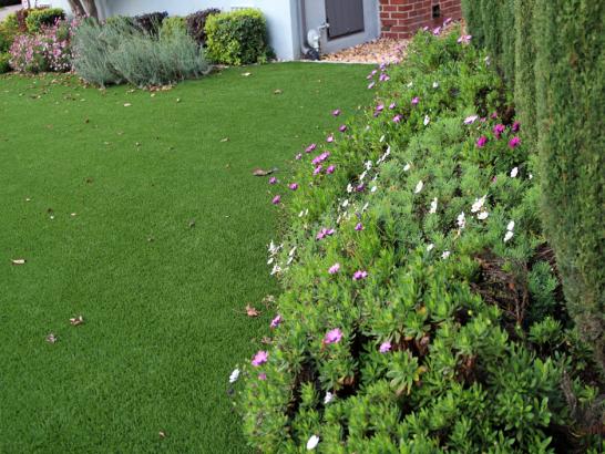 Artificial Grass Photos: Synthetic Grass Pedley California Lawn  Front Yard