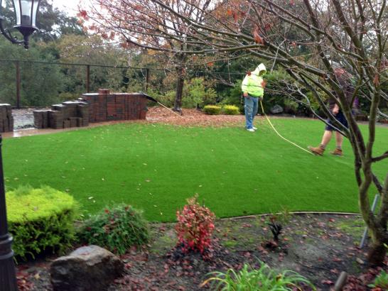 Artificial Grass Photos: Synthetic Grass Valinda California Lawn  Backyard