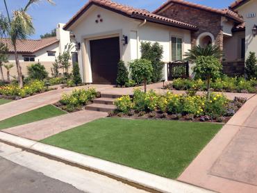 Artificial Grass Photos: Fake Turf Norwalk California  Landscape  Front Yard