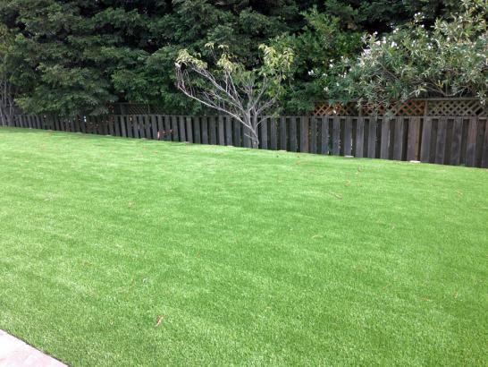 Artificial Grass Photos: Fake Turf West Carson California Lawn  Yard