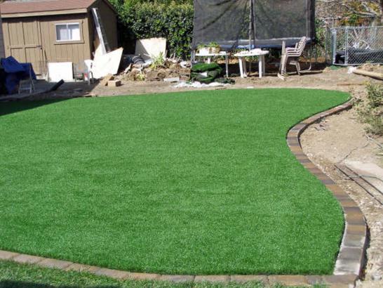 Artificial Grass Photos: Artificial Turf Laguna Woods California  Landscape  Backyard