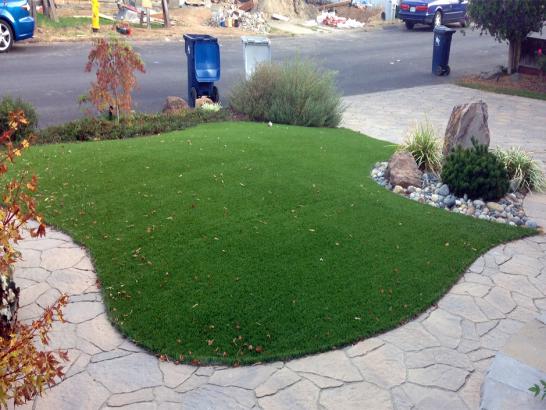 Artificial Grass Photos: Fake Turf Claremont California  Landscape