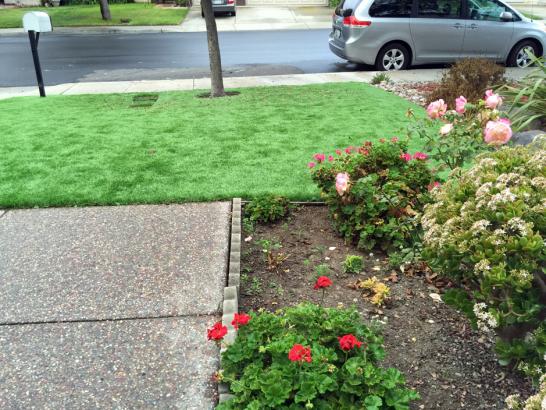 Artificial Grass Photos: Fake Pet Turf Westwood California for Dogs  Front Yard