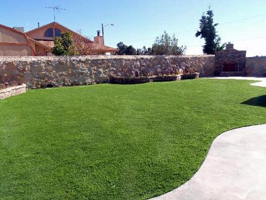 Artificial Grass Photos: Fake Grass San Joaquin Hills California  Landscape  Backyard