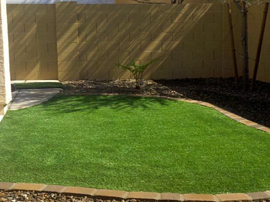 Artificial Grass Photos: Fake Turf Littlerock California  Landscape  Yard