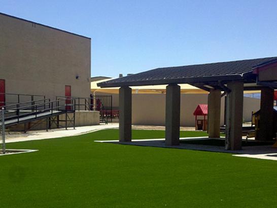 Artificial Grass Photos: Synthetic Turf Castaic California Lawn  Landscape Commercial
