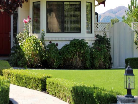 Artificial Grass Photos: Artificial Grass Duarte California Lawn  Front Yard