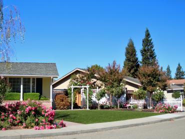 Artificial Grass Photos: Fake Turf Santa Monica California Lawn  Front Yard