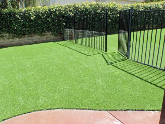 Artificial Grass Photos: Synthetic Pet Grass Santa Fe Springs California Installation