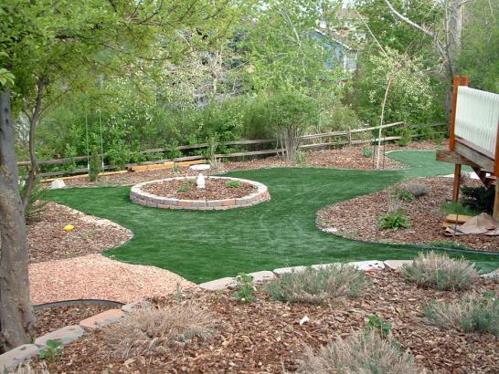 Artificial Grass Photos: Fake Turf Rialto California Lawn  Backyard